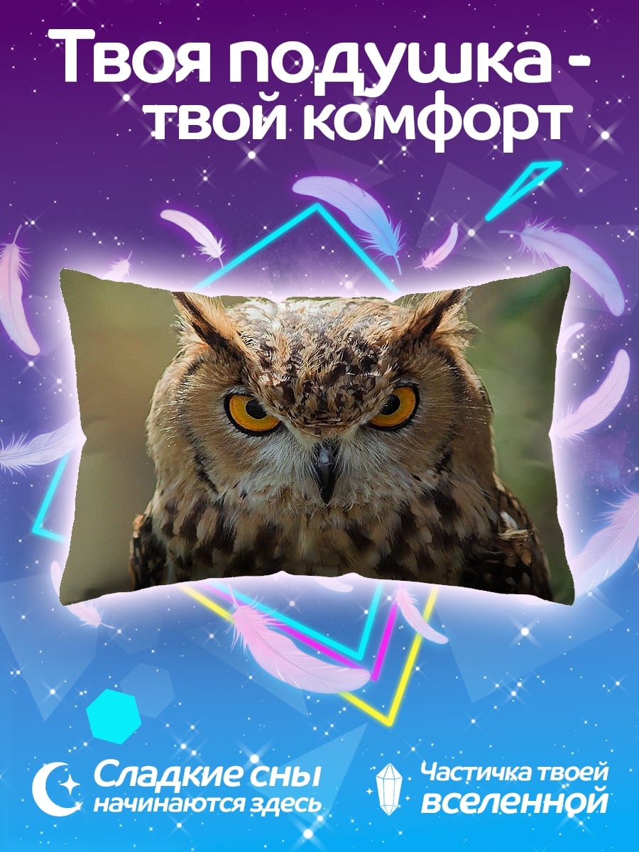 Подушка Мудрый Филин Глаза