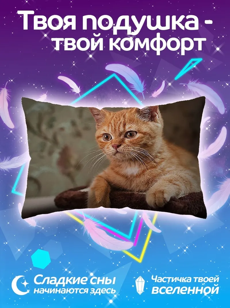 Подушка Рыжий кот лежит