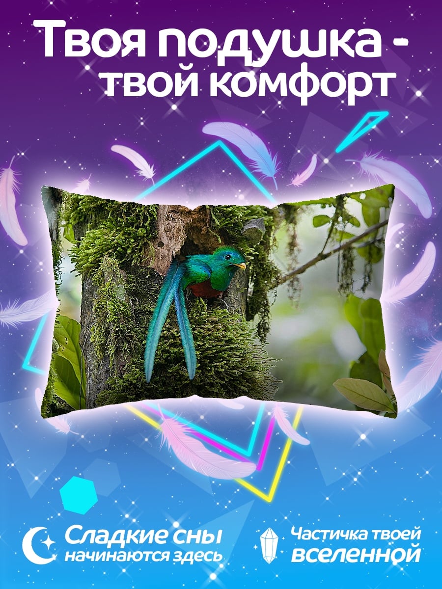 Подушка кетцаль в гнезде