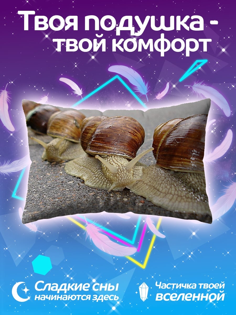 Подушка Улитки на асфальте