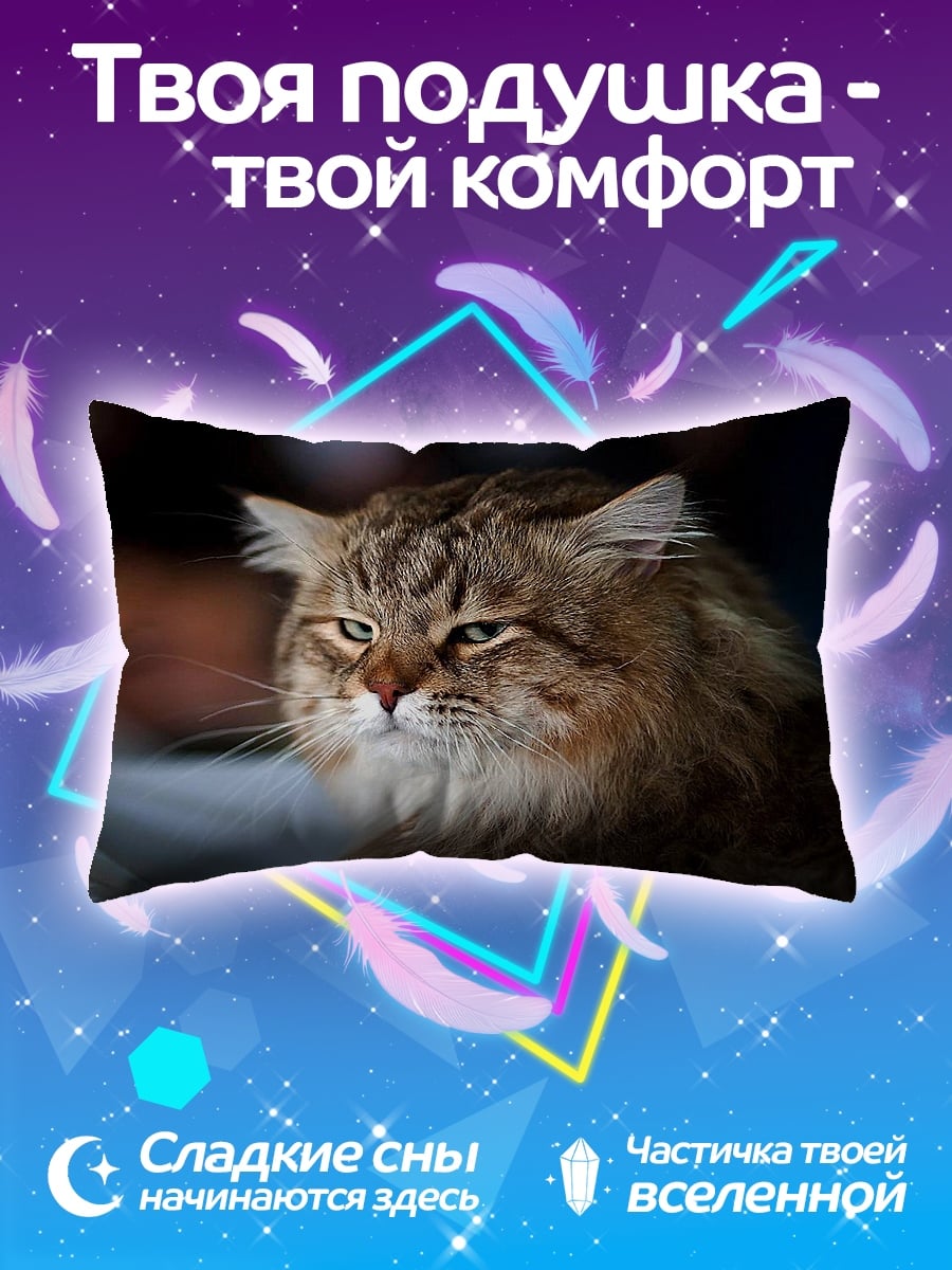 Подушка сердитый кот