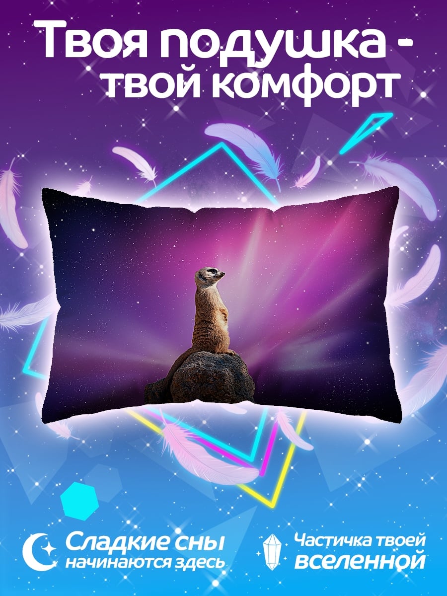 Подушка Сурикат в космосе