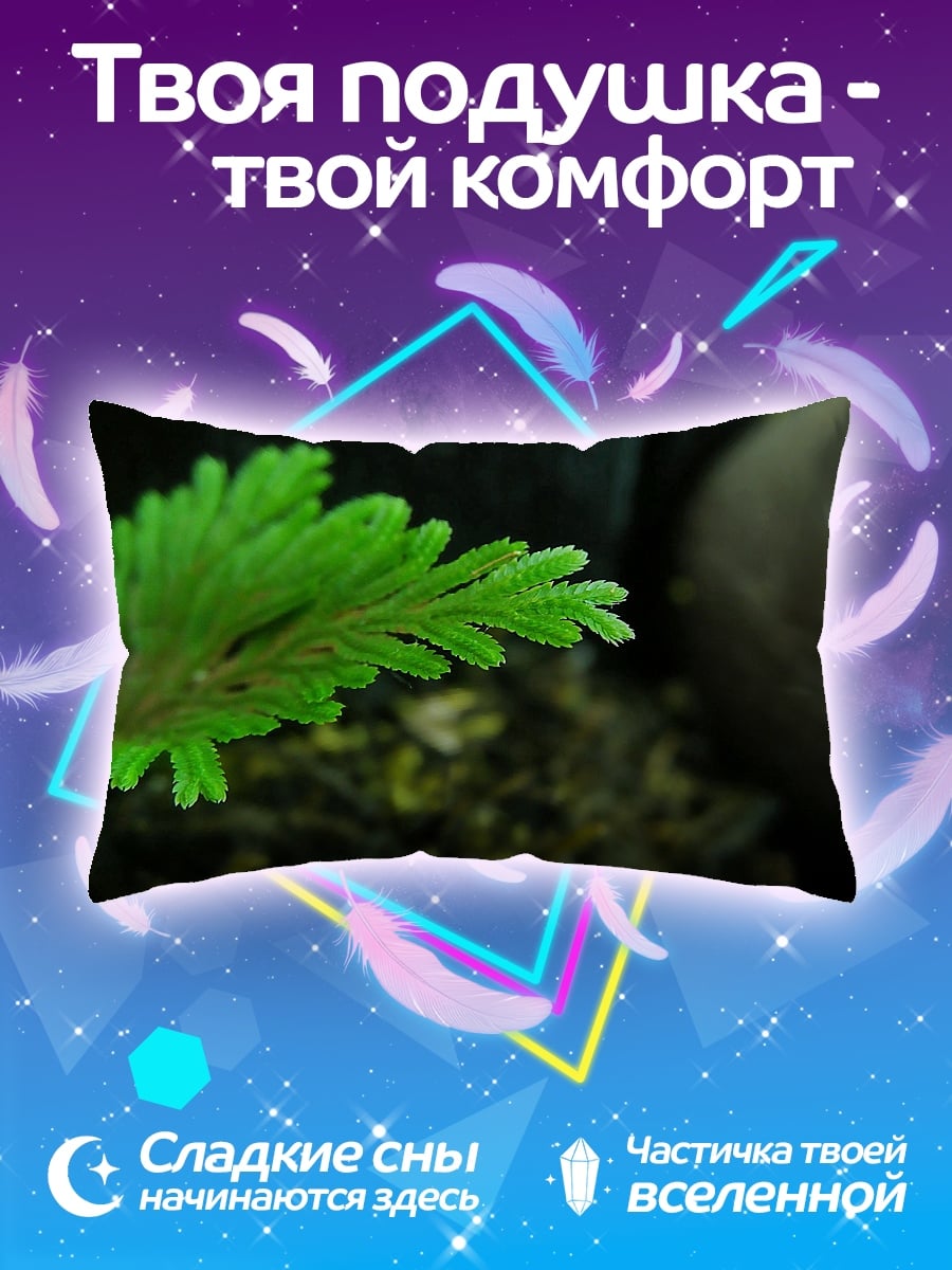 Подушка Зеленый Папоротник