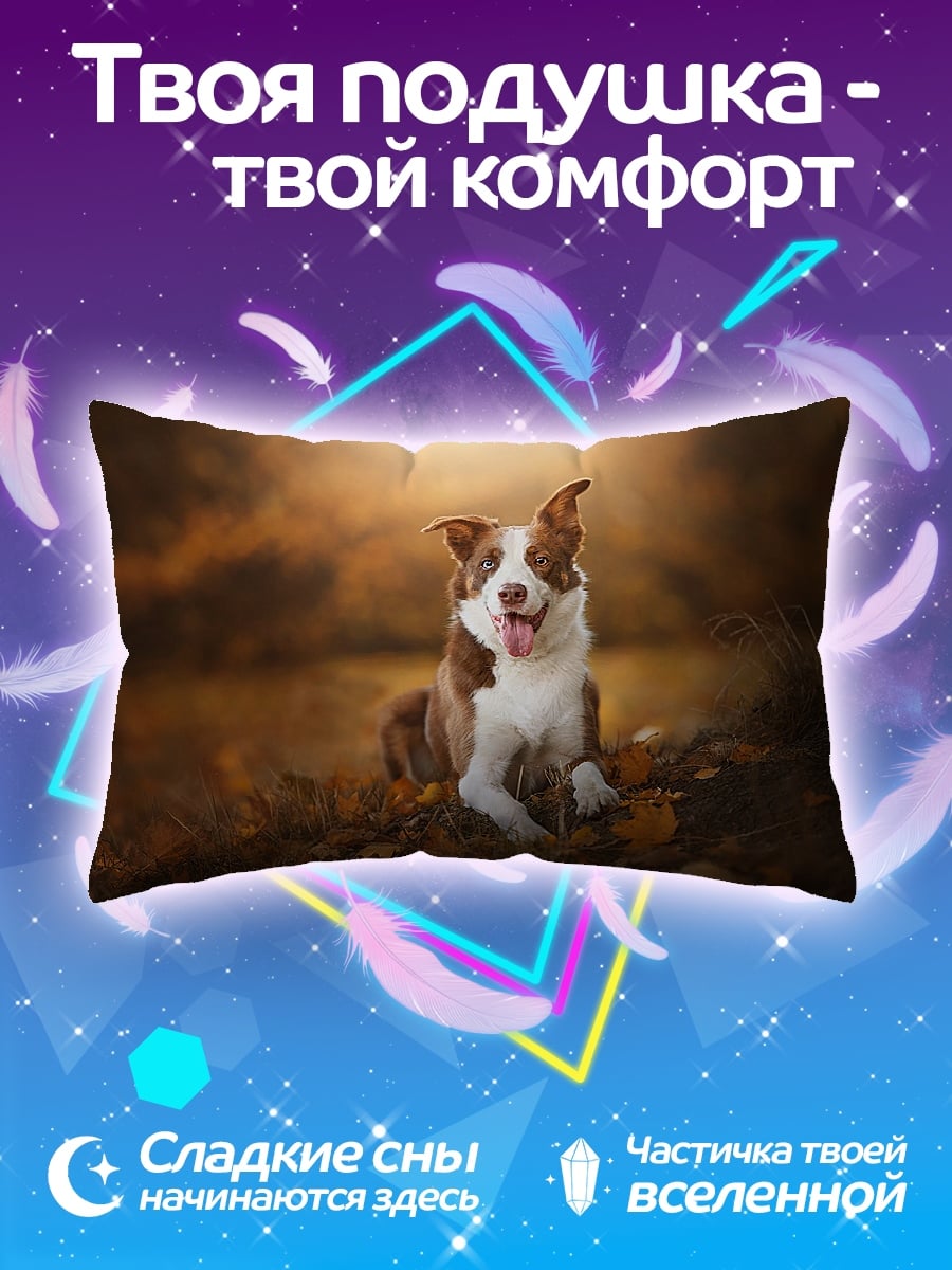 Подушка Собака в осеннем лесу