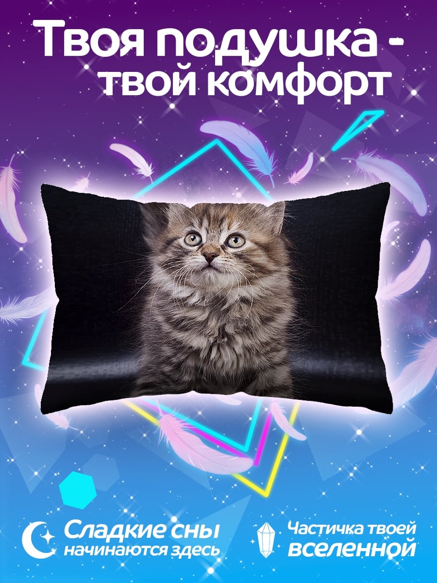 Подушка Пушистый котенок смотрит