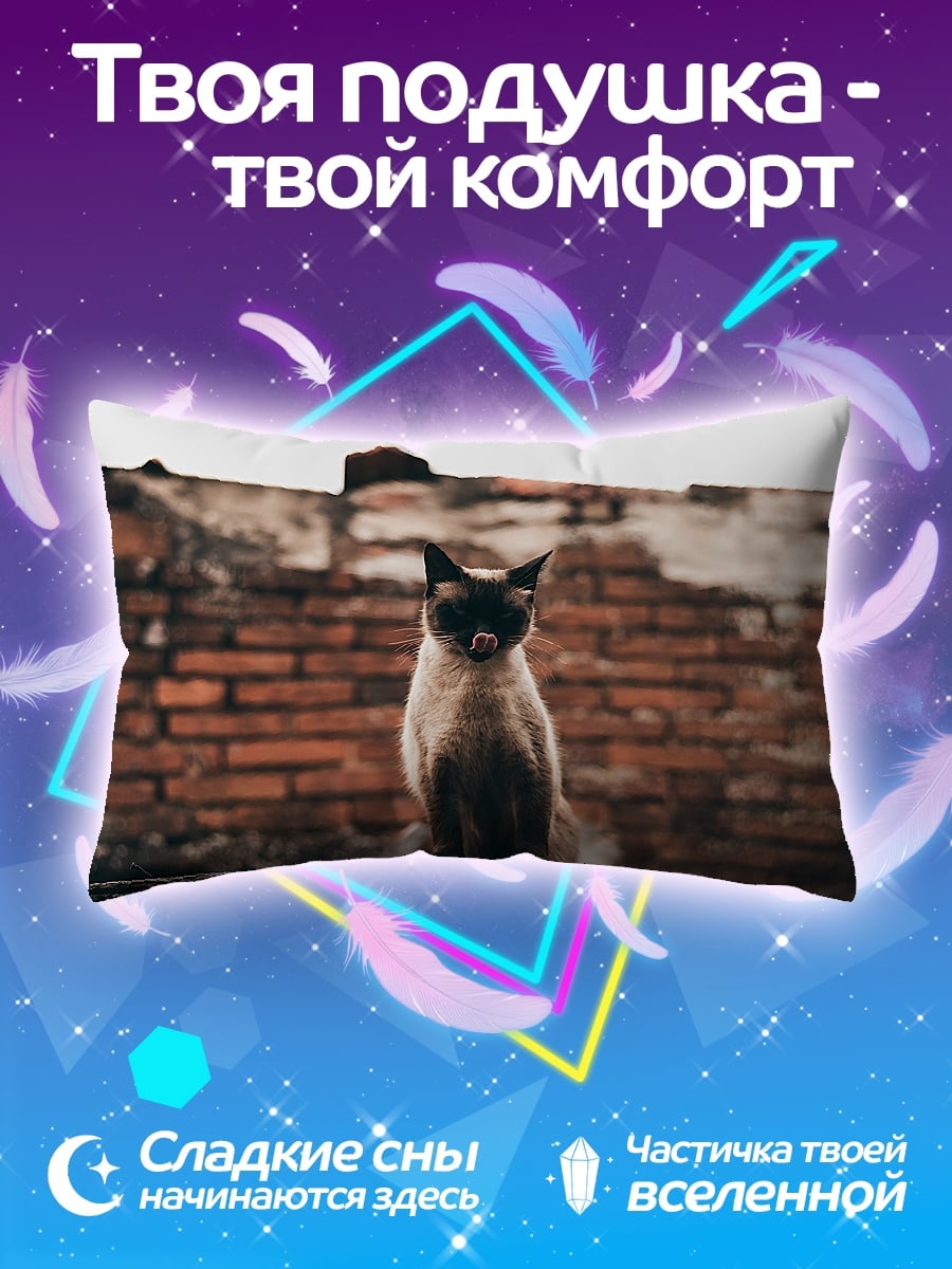 Подушка Кот на стене