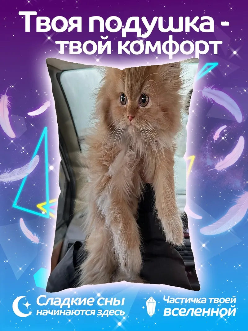 Подушка Рыжий пушистый котенок