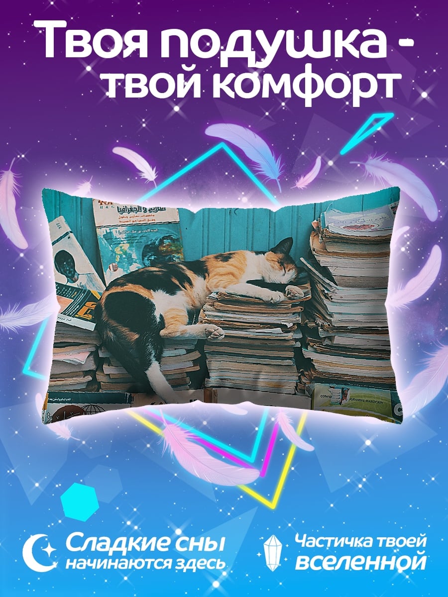 Подушка Кот на книгах