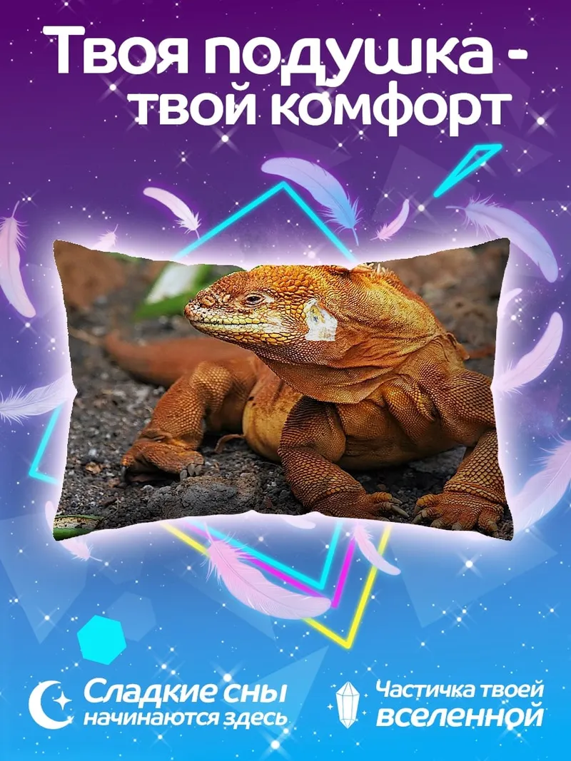 Подушка Оранжевая игуана на земле
