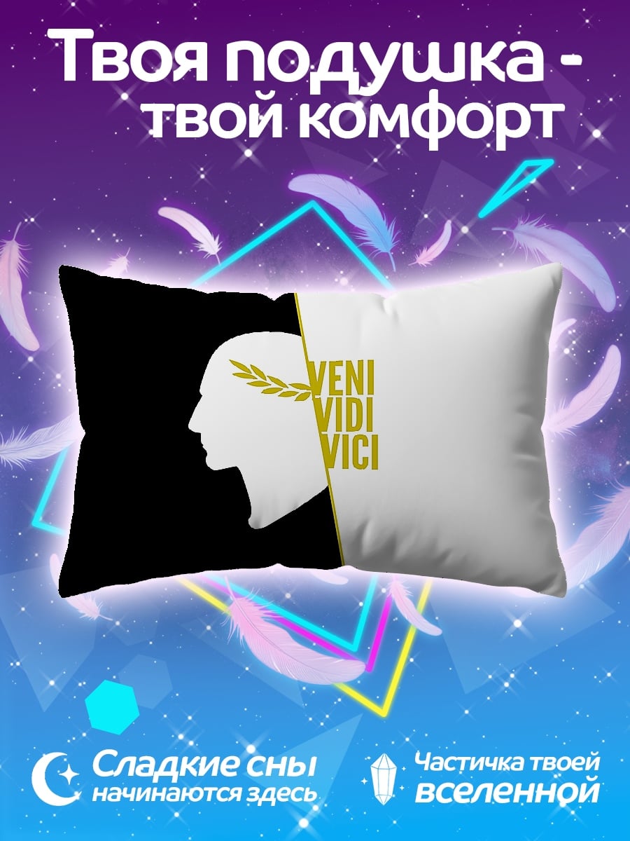 Подушка Veni Vidi Vici