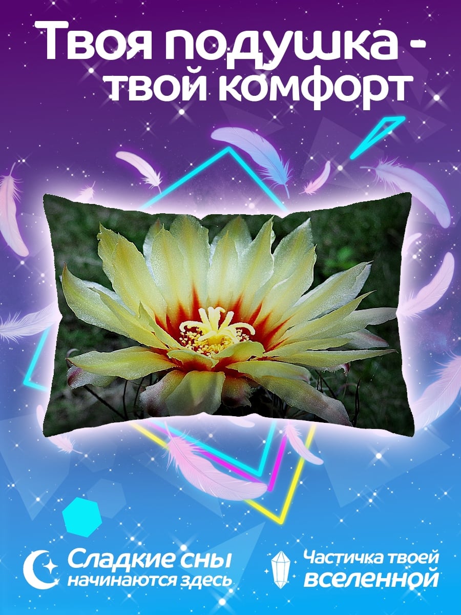 Подушка цветок кактуса