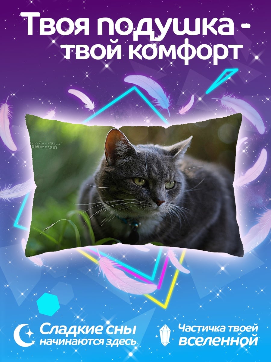 Подушка серый кот