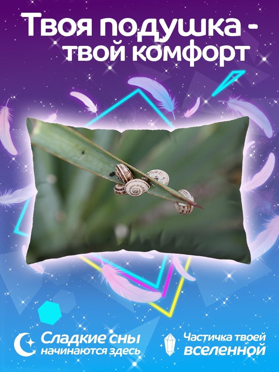 Подушка улитки на листе