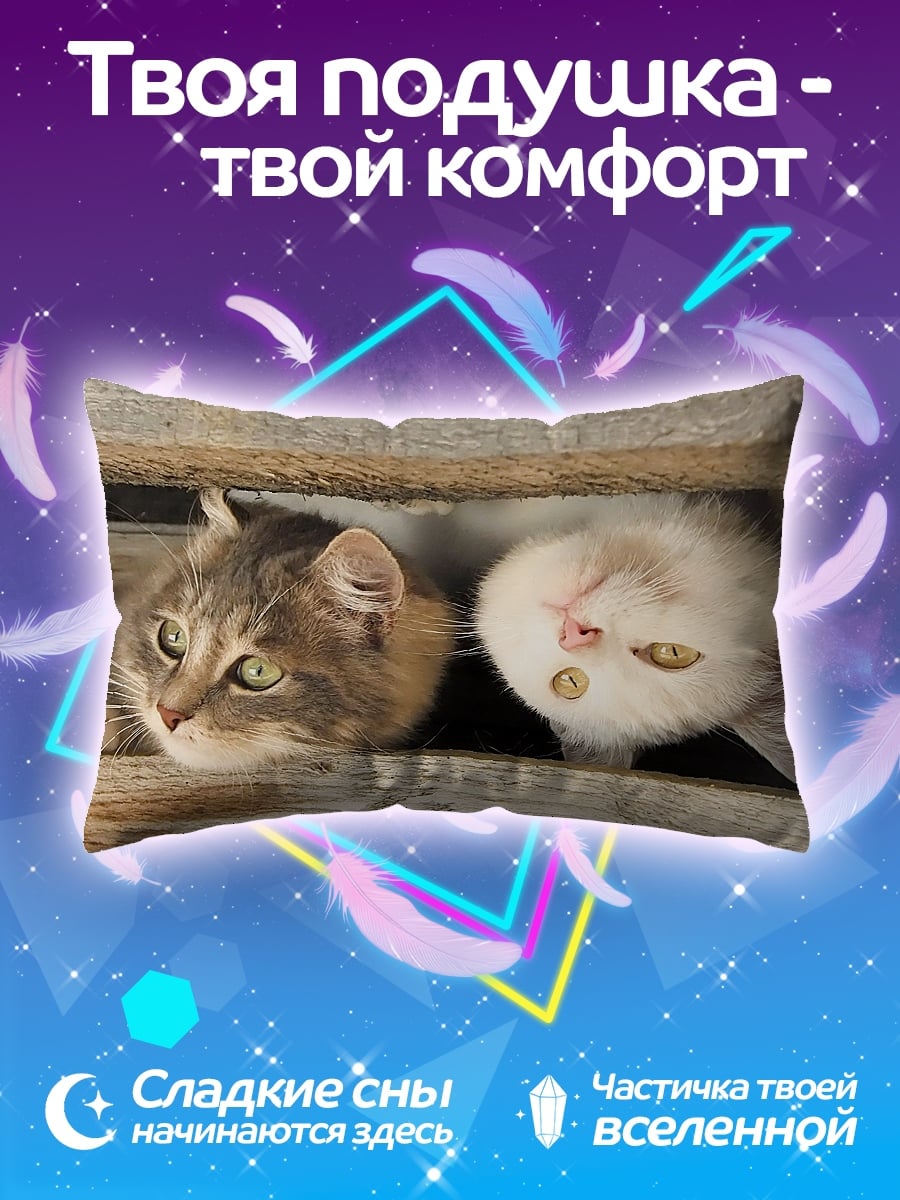 Подушка Два любопытных кота