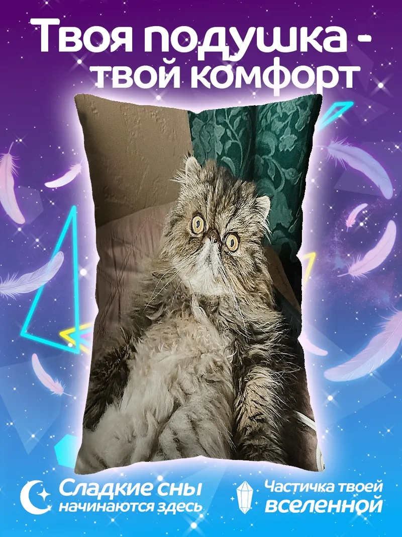 Подушка Пушистый кот на диване