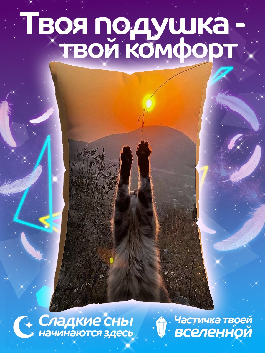 Подушка Кот ловит закат