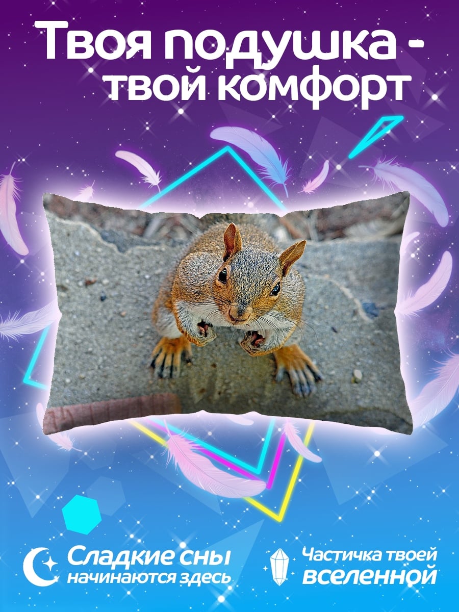Подушка белка смотрит