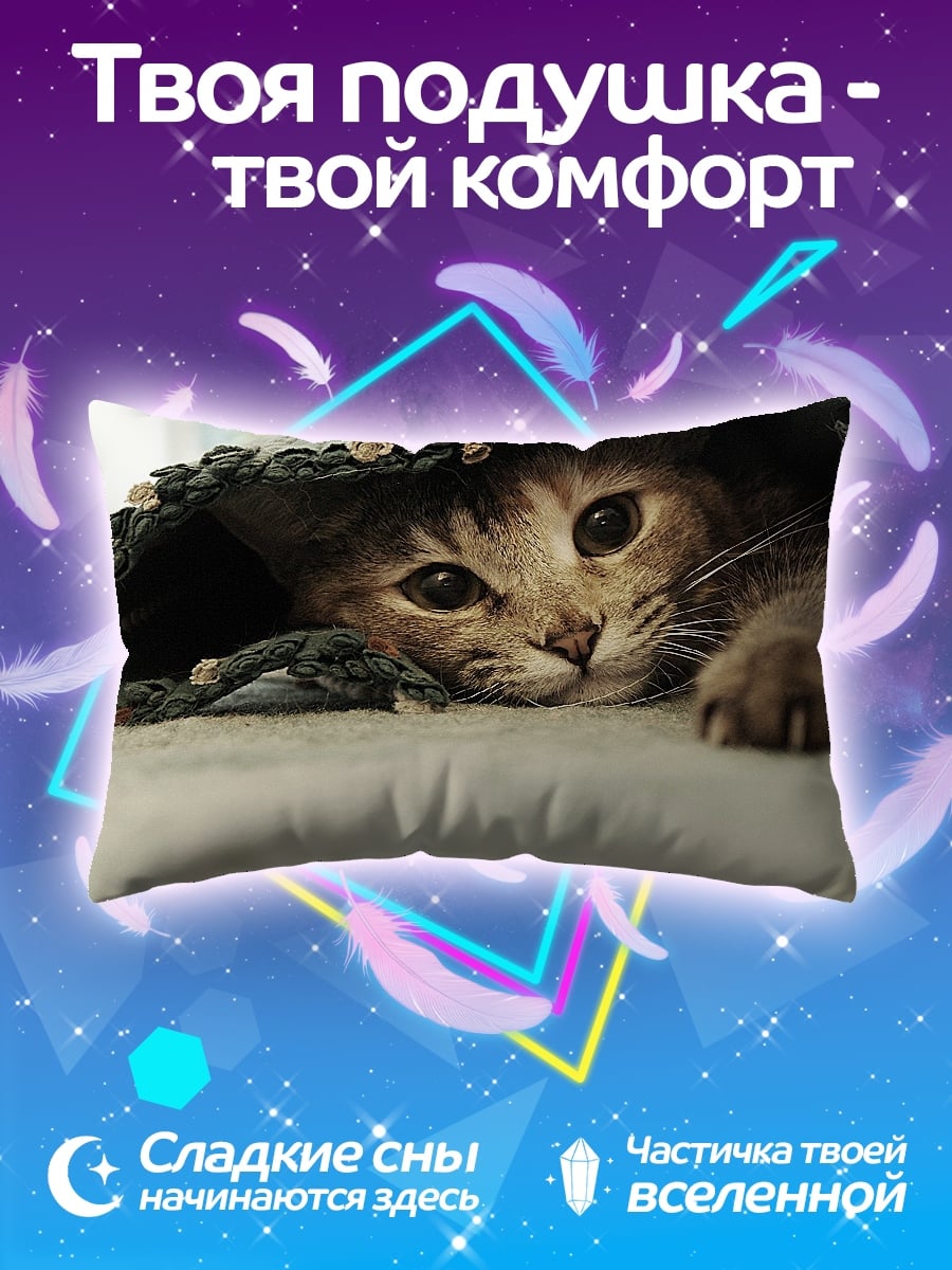 Подушка Кот под пледом