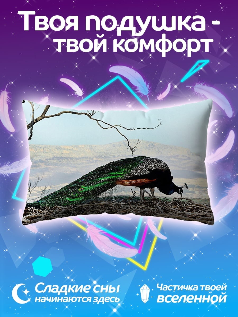 Подушка Павлин в природе