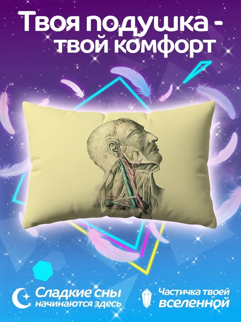 Подушка Анатомия шеи человека