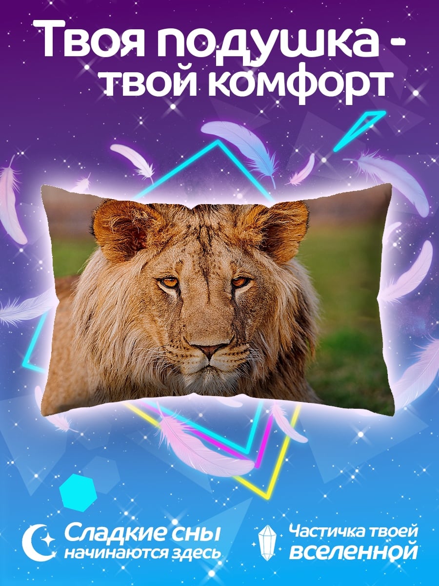 Подушка Портрет льва