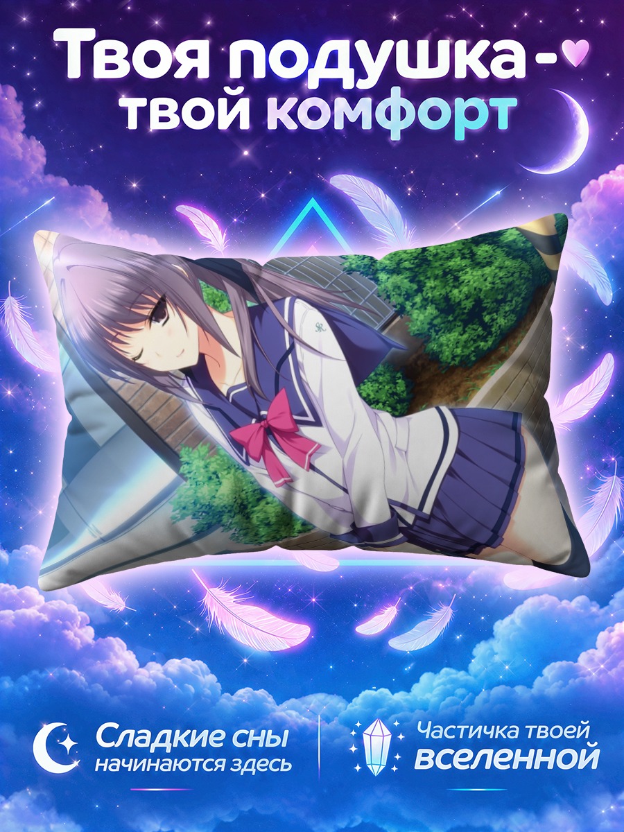 Подушка Ая Инубосаки в школе