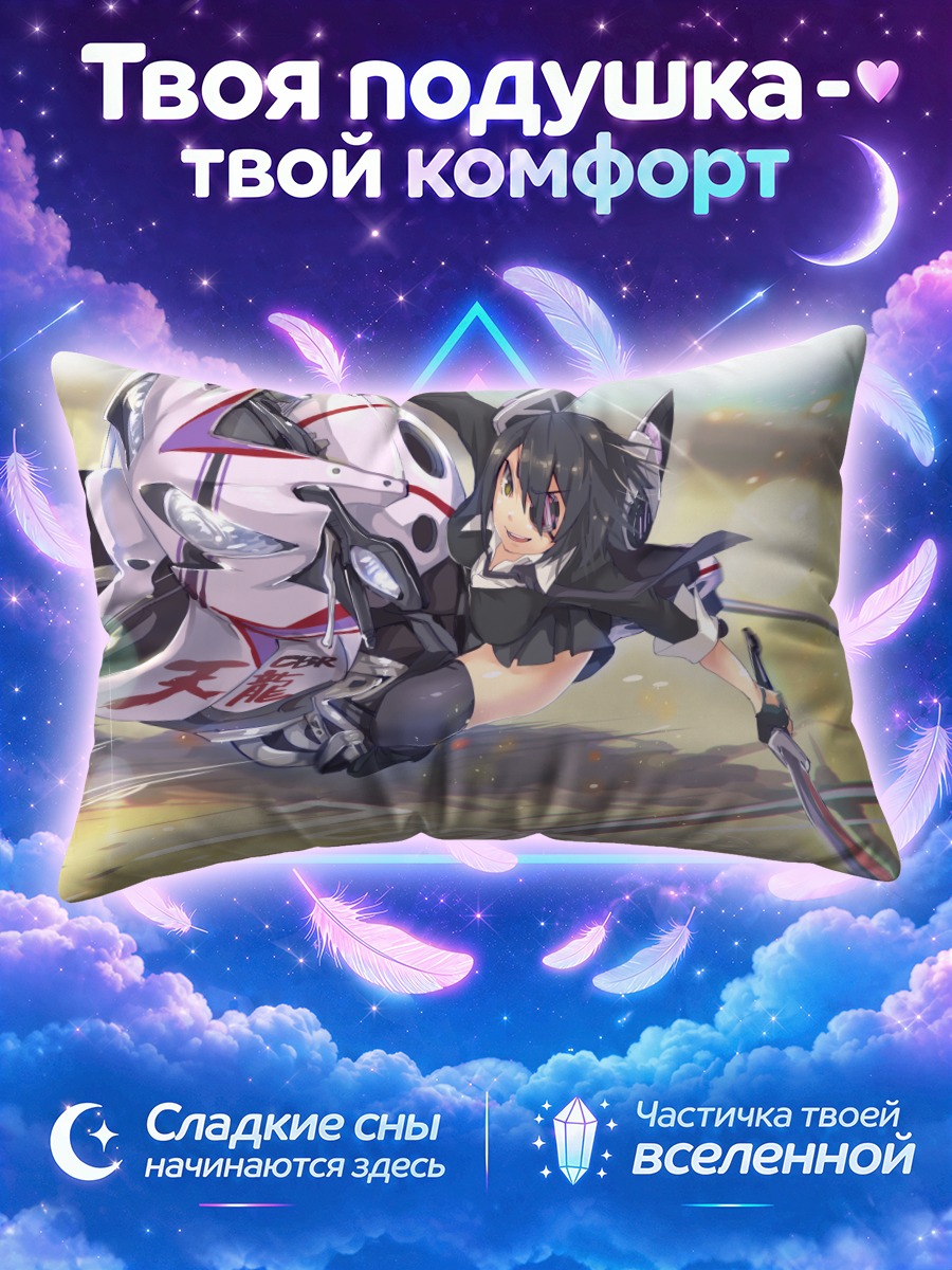 Подушка Тенрю на мотоцикле