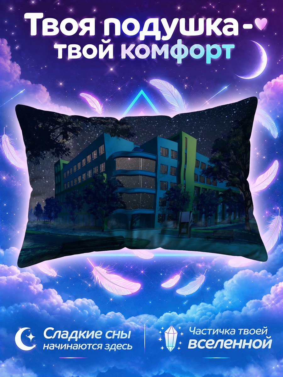 Подушка Ночной университет