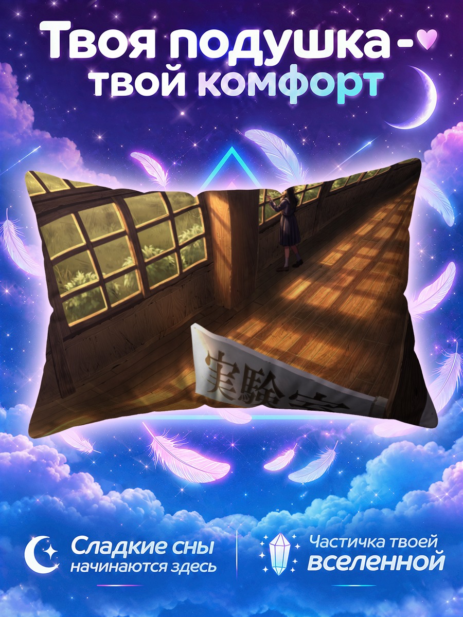 Подушка Школьный коридор с табличкой лаборатории