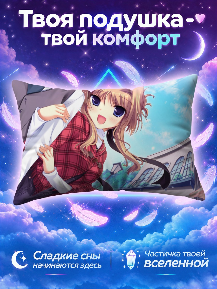 Подушка Чиша в школе