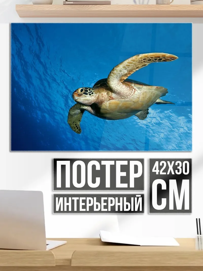 Постер Морская черепаха плывет