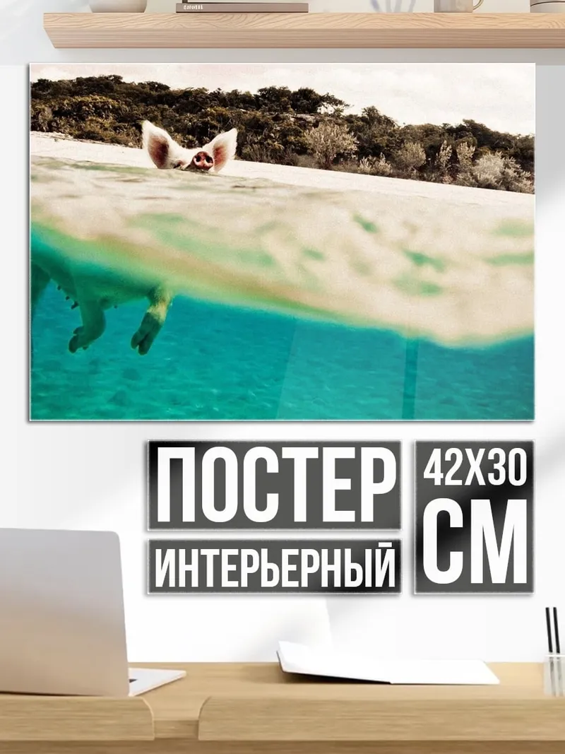 Постер Плывущая свинья