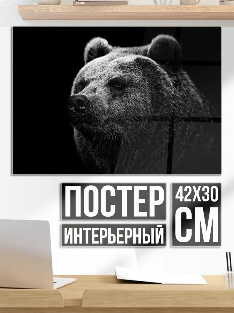 Постер портрет медведя