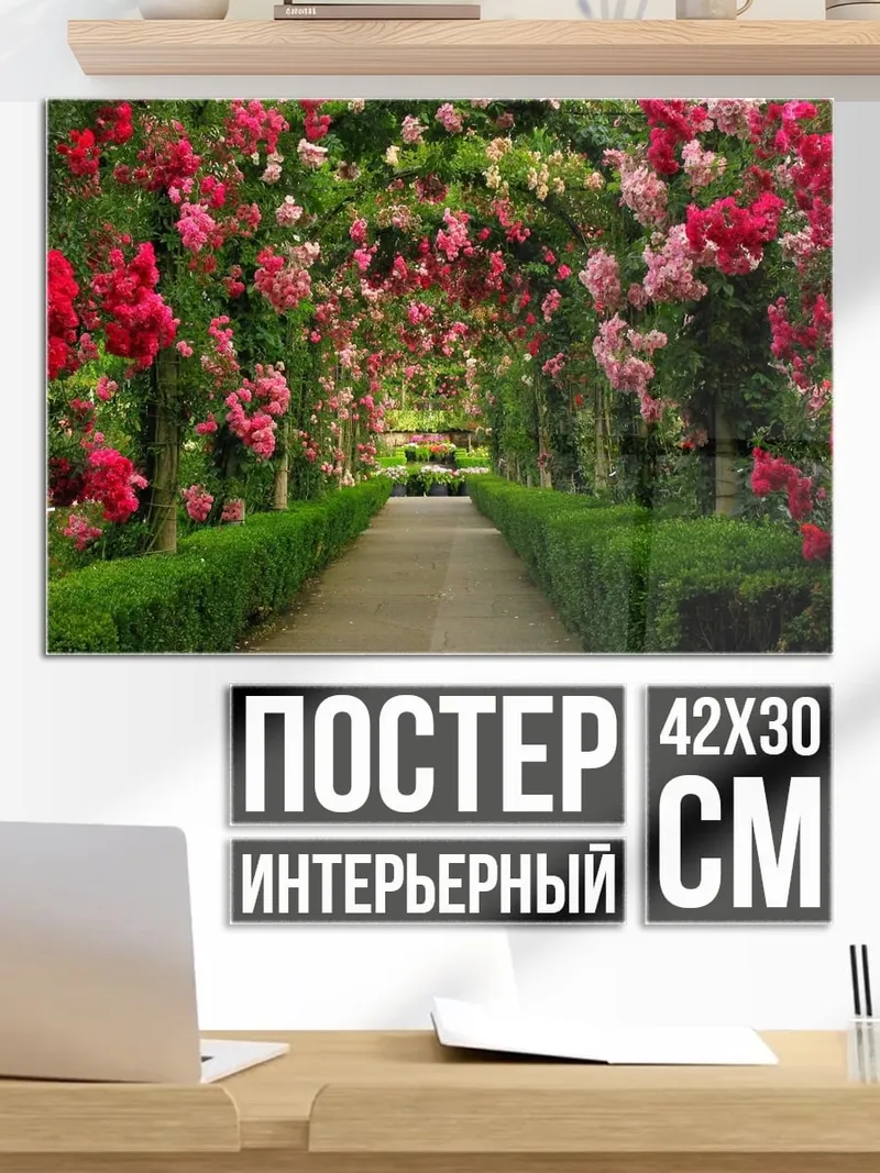 Постер арка из роз