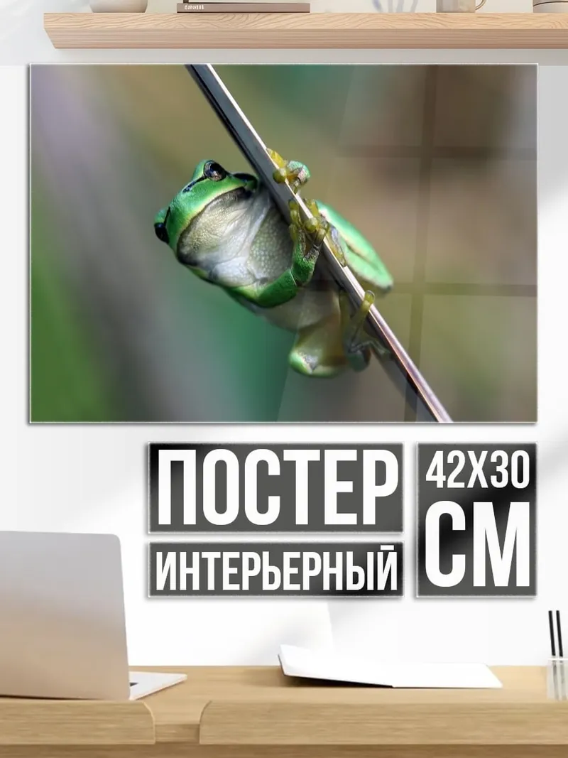 Постер Зеленая лягушка на ветке