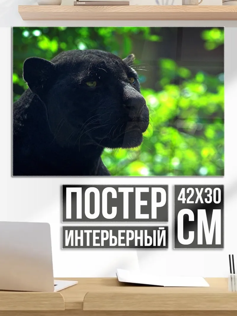 Постер Черная пантера джунгли