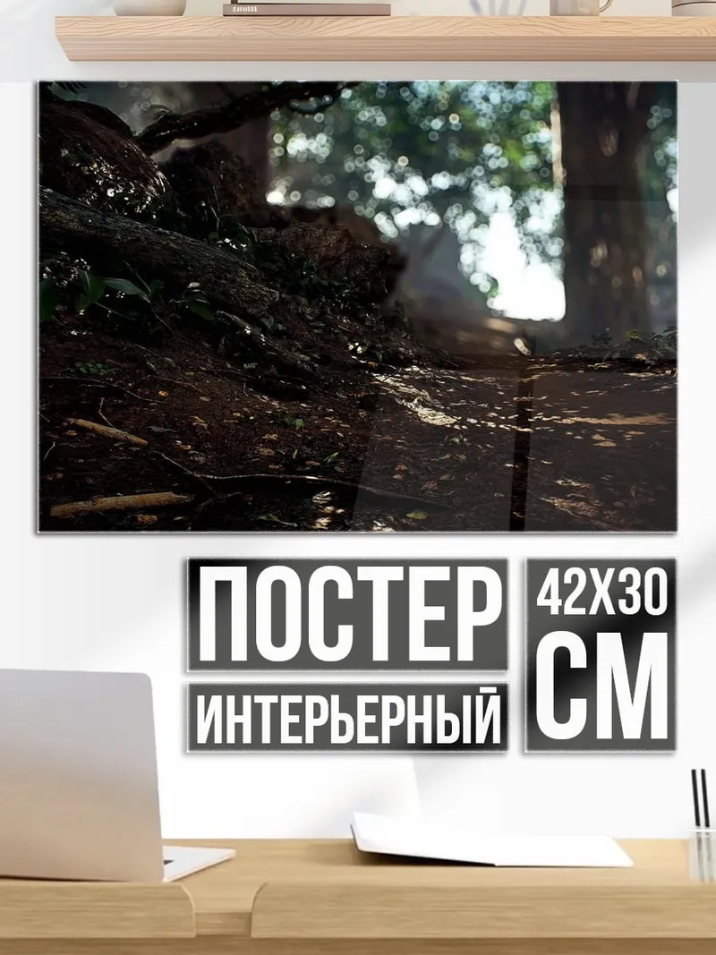 Постер Лесная тропа