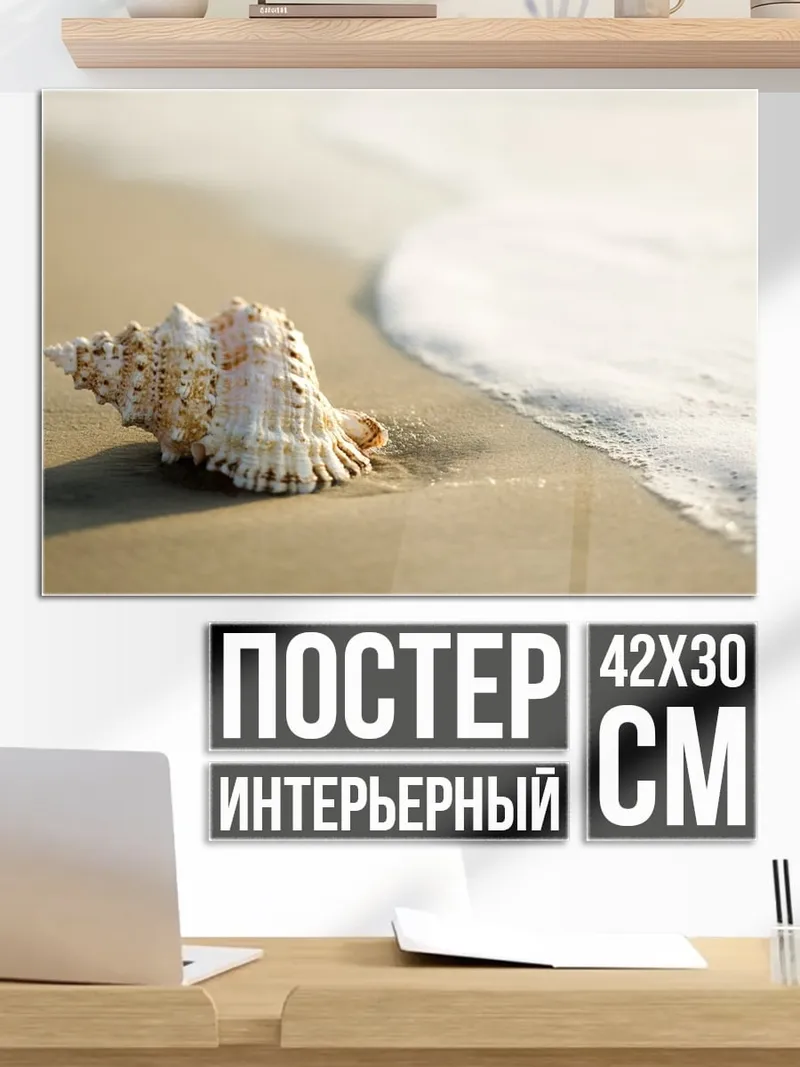 Постер Ракушка на берегу