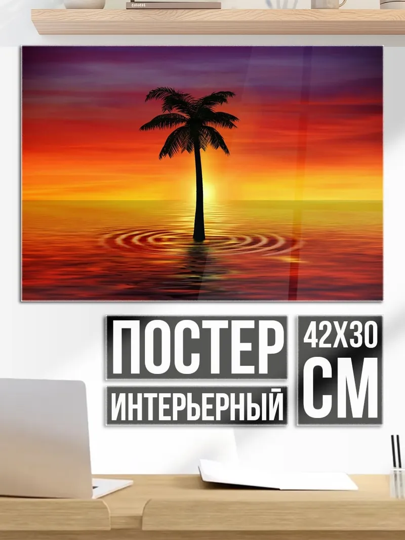 Постер Пальма на закате
