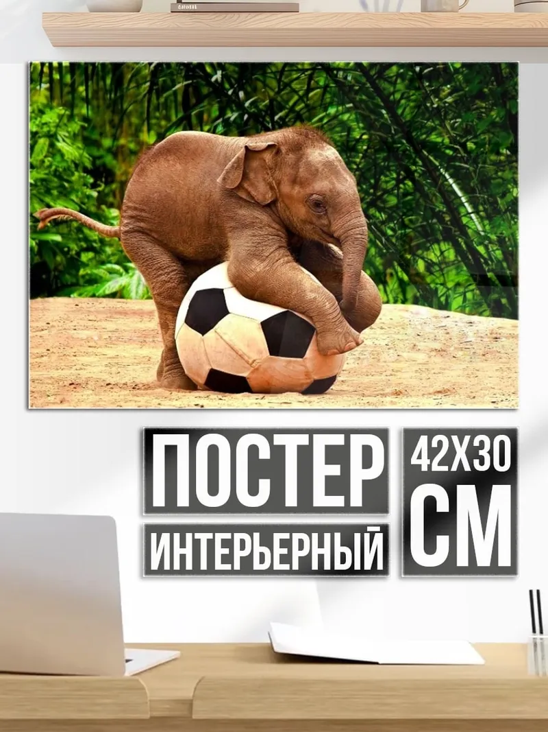 Постер слонёнок с мячом