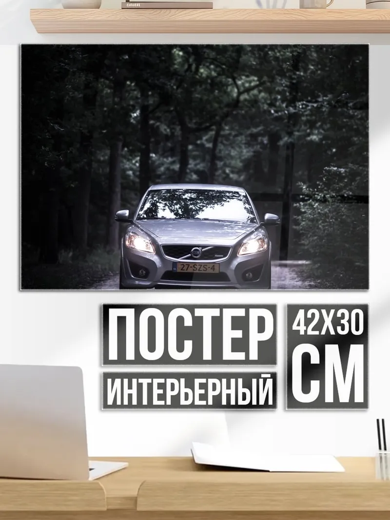 Постер Машина в лесу