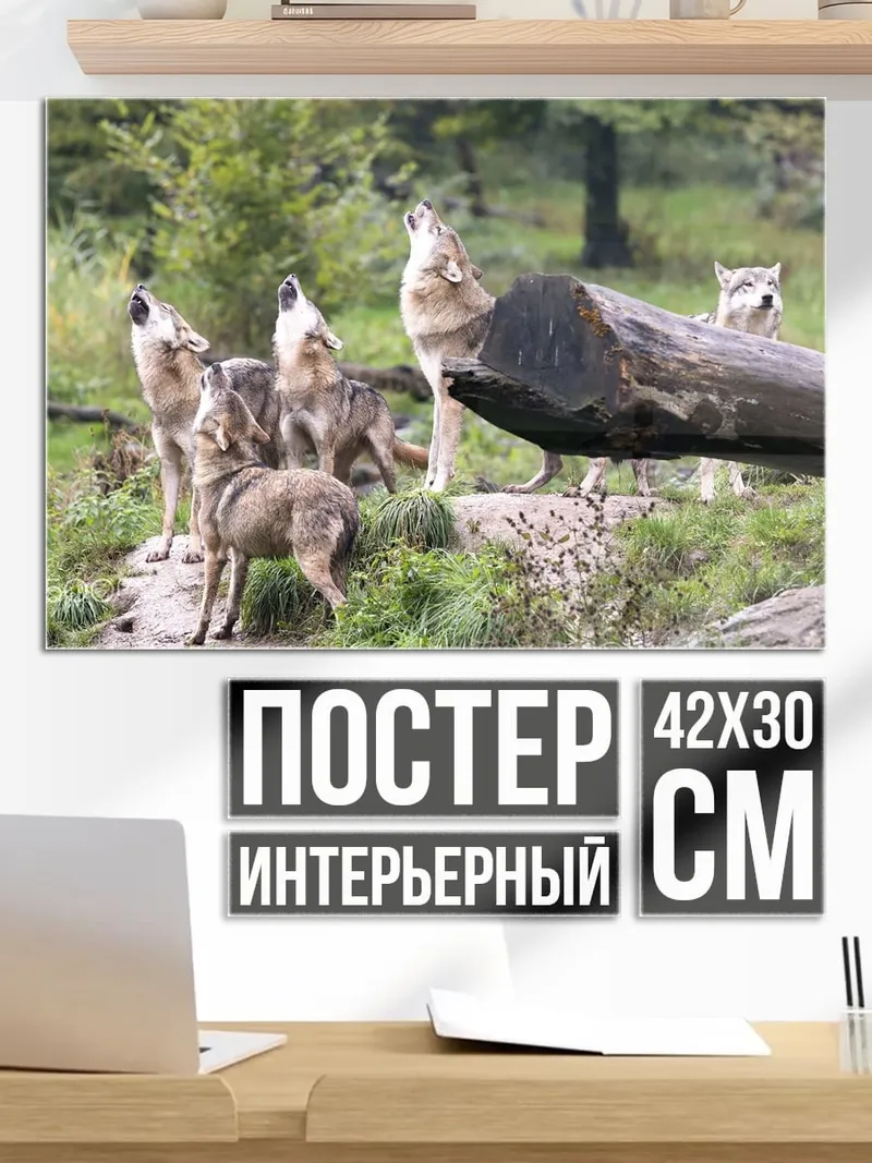 Постер Воющая стая волков