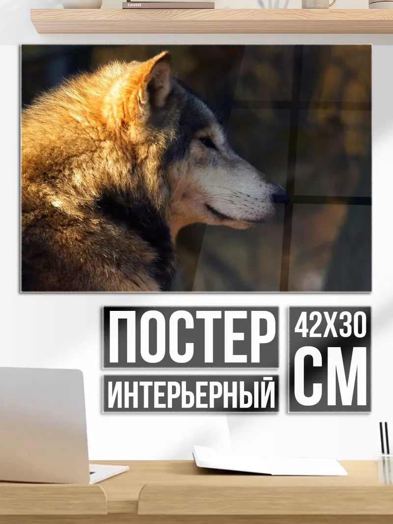 Постер Волк на закате