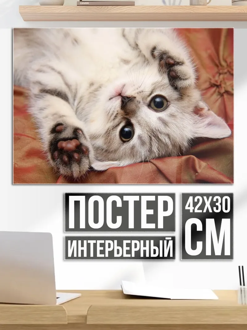 Постер Котёнок играет