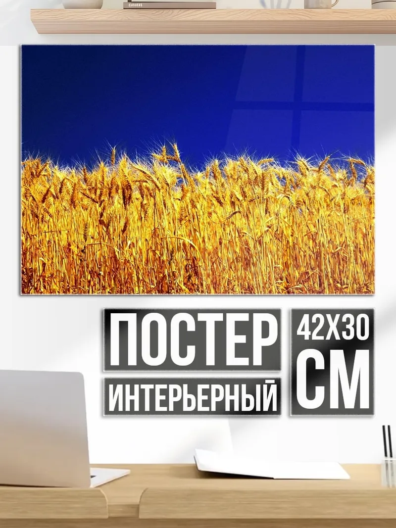 Постер Золотое поле небо