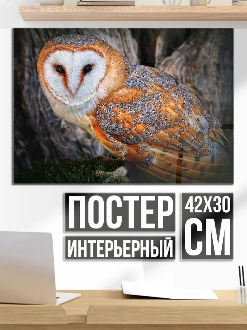 Постер Сипуха на дереве