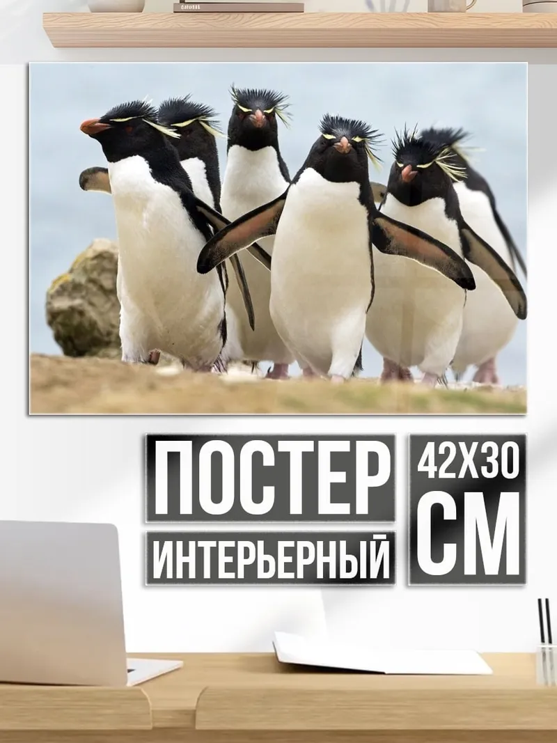 Постер Пингвины на берегу