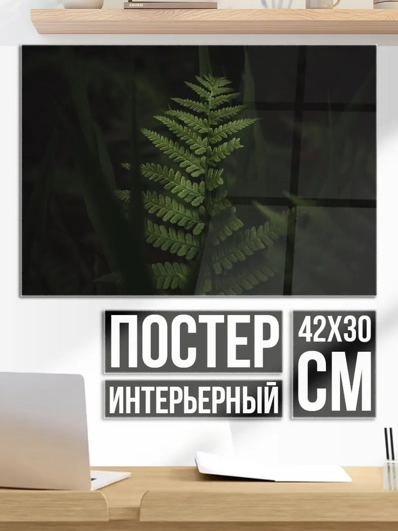 Постер Зеленый папоротник