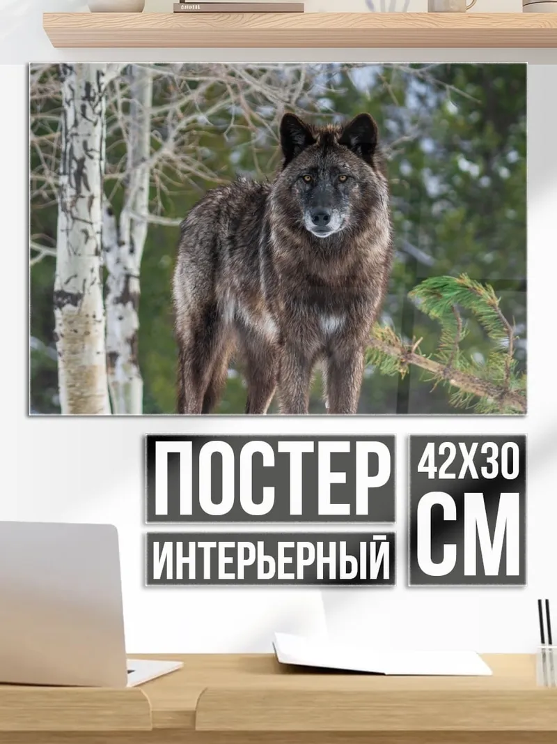Постер Зимний волк