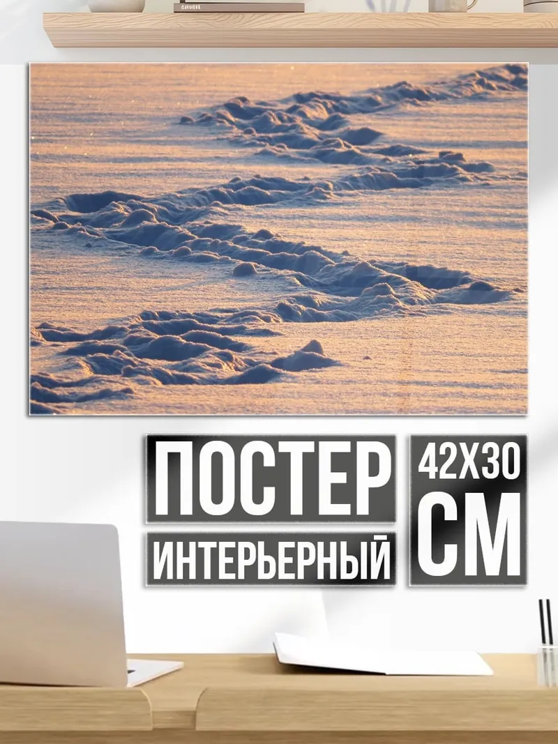 Постер Снежные дюны